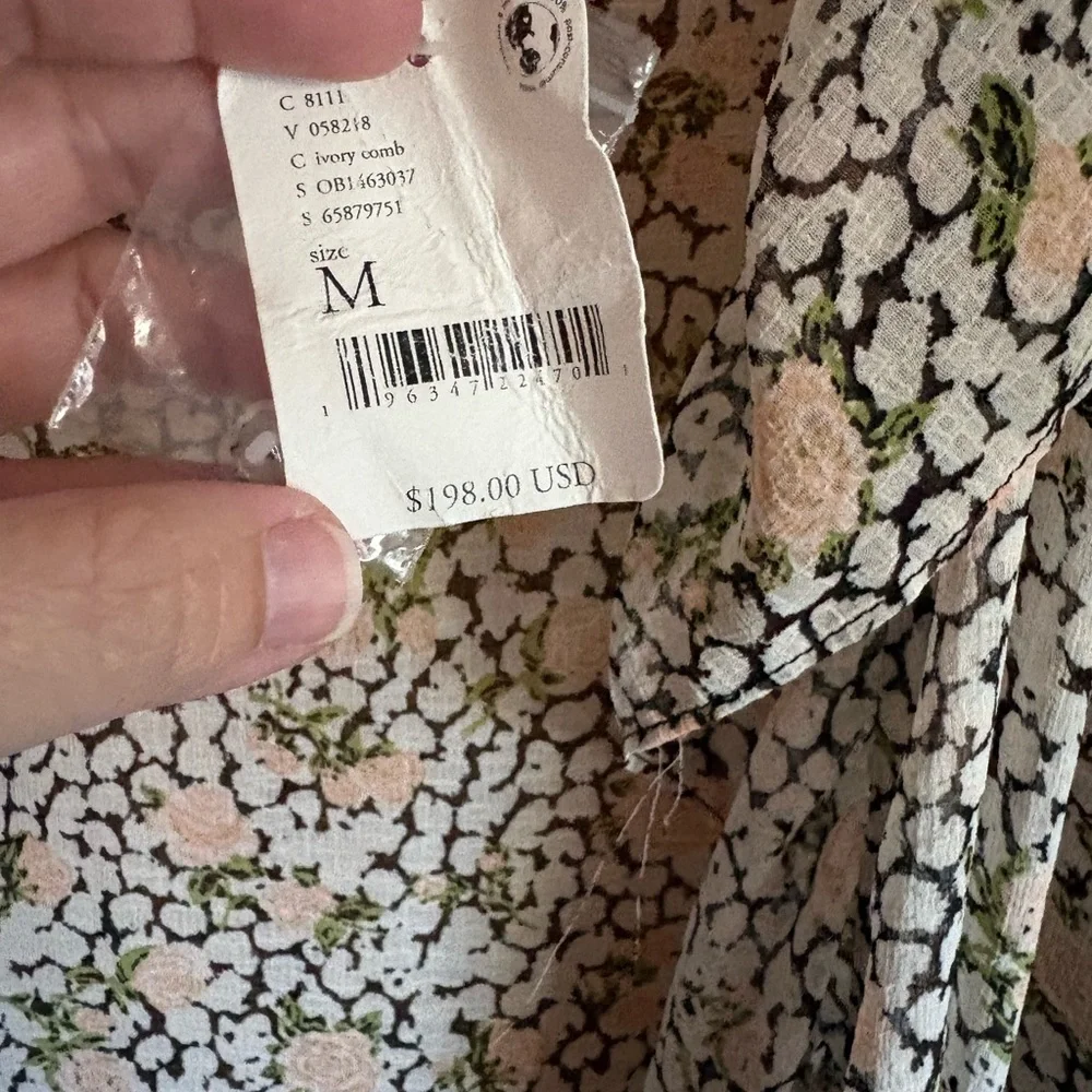 Free People Sheer Floral Ruffle Long Sleeve Maxi
